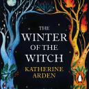 The Winter of the Witch Audiobook