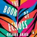 The Book Of Echoes: The ‘powerfully redemptive’ debut of love and hope rippling across generations Audiobook