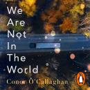 We Are Not in the World: ‘compelling and profoundly moving’ Irish Times Audiobook