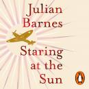 Staring at the Sun Audiobook