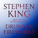 Drunken Fireworks Audiobook
