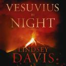 Vesuvius by Night