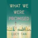 What We Were Promised Audiobook