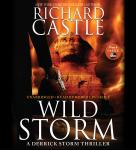 Wild Storm: A Derrick Storm Thriller, Richard Castle