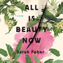 All Is Beauty Now Audiobook