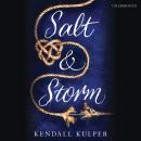 Salt & Storm Audiobook