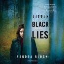 Little Black Lies Audiobook