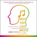 Why You Love Music: From Mozart to Metallica--The Emotional Power of Beautiful Sounds Audiobook