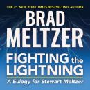 Fighting the Lightning: A Eulogy for Stewart Meltzer Audiobook
