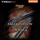 The Assassination of Orange Audiobook