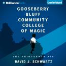 Gooseberry Bluff Community College of Magic Audiobook