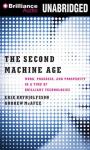 The Second Machine Age Audiobook