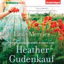 Little Mercies, Heather Gudenkauf
