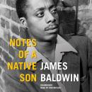 Cover of Notes of a Native Son