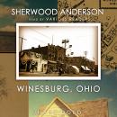 Winesburg, Ohio Audiobook