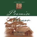Promise & Honor Audiobook