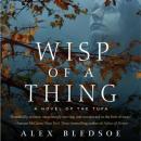 Wisp of a Thing Audiobook
