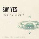 Say Yes Audiobook