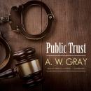 Public Trust Audiobook