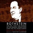 Rothstein: The Life, Times, and Murder of the Criminal Genius Who Fixed the 1919 World Series Audiobook