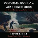 Cover of Desperate Journeys, Abandoned Souls: True Stories of Castaways and Other Survivors