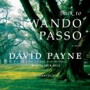 Back to Wando Passo Audiobook