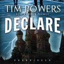 Declare Audiobook