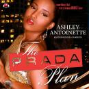 The Prada Plan Audiobook