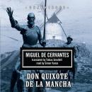 Don Quixote de la Mancha Audiobook