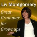 Great Grammar for Grownups Audiobook