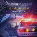 Falsely Accused Audiobook