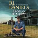From the Shadows Audiobook