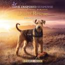 Desert Rescue Audiobook