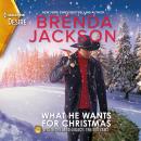 What He Wants for Christmas Audiobook