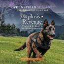Explosive Revenge Audiobook