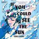 If You Could See the Sun Audiobook