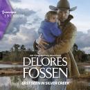 Last Seen in Silver Creek, Delores Fossen