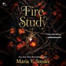 Fire Study Audiobook