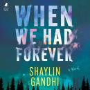 The When We Had Forever Audiobook