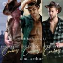 Woods Ranch Books 1-3 Audiobook