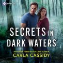 Secrets in Dark Waters Audiobook