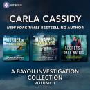 Harlequin Intrigue A Bayou Investigation Collection Vol 1 Audiobook