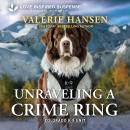 Unraveling a Crime Ring Audiobook