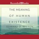 The Meaning of Human Existence Audiobook