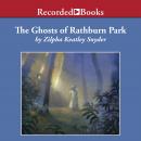 The Ghosts of Rathburn Park Audiobook