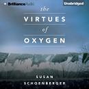 The Virtues of Oxygen Audiobook