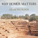 Why Homer Matters Audiobook