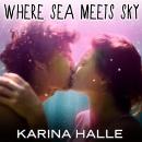 Where Sea Meets Sky Audiobook