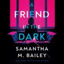 A Friend in the Dark Audiobook