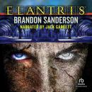 Elantris: Tenth Anniversary Author's Definitive Edition